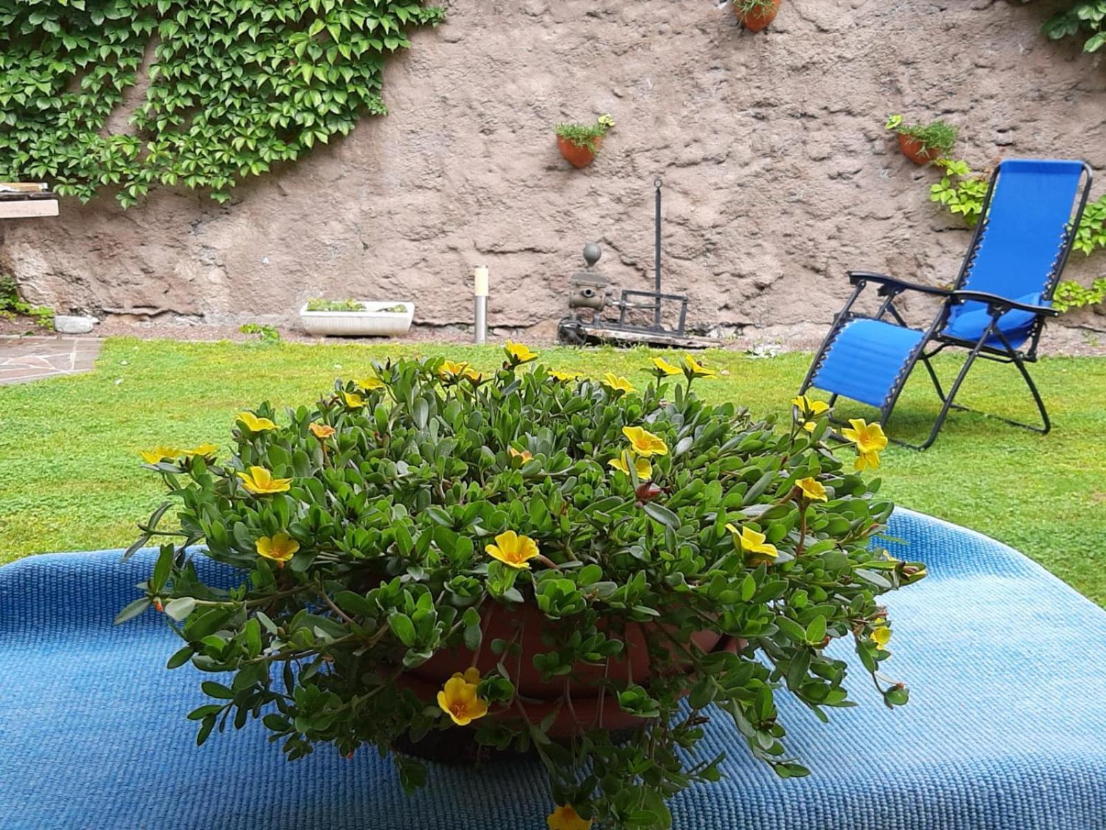 Appartamento Casa Fornace Ala Esterno foto